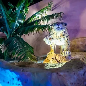 Alloggio in famiglia Dar Salam, Agadir